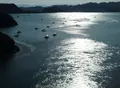堀越海峡の写真_127614