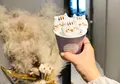 HATCOFFEE STANDの写真_1468920