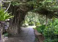 ユンヌ楽園の写真_153584