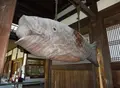 黄檗山萬福寺の写真_160110