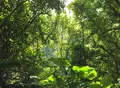 住用町の写真_165356