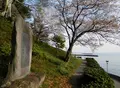 城下公園の写真_191976
