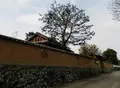 汐湯の写真_194612
