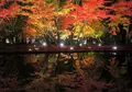 曽木公園の写真_203713