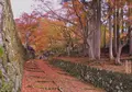 百済寺の写真_204387