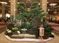 帝国ホテルの写真_211150