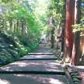 白山比咩神社の写真_219151