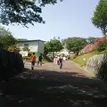 千手山公園の写真_29748