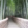 化野念仏寺の写真_66718