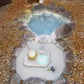 上の川湧水の写真_92381
