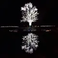 京都府立植物園の写真_209902