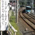 三条大橋の写真_67162