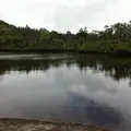 七ツ池の写真_138689