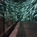 森のレストラン ニニヌプリの写真_20102
