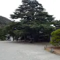 栗林公園の写真_249365