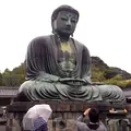 鎌倉大仏（高徳院）の写真_138453