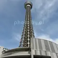 横浜マリンタワーの写真_185051
