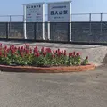 JR西大山駅の写真_194956