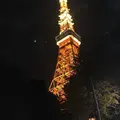 東京タワーの写真_206945