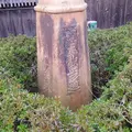 甲賀市信楽伝統産業会館の写真_129405