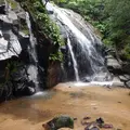 金引の滝の写真_267403