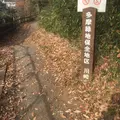 多摩自然遊歩道の写真_207921