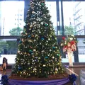 住友不動産新宿グランドタワーの写真_208855