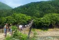 であい橋の写真_241429