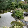 退蔵院の写真_895832