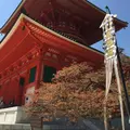 壇上伽藍の写真_30180