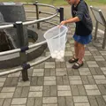 東郷湖畔公園の写真_35489