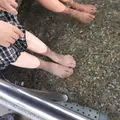 東郷湖畔公園の写真_35502