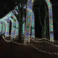 京都イルミエールの写真_52509