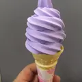 美郷町ラベンダー園の写真_56971
