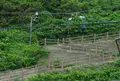 道の駅 みんまや「龍飛岬」の写真_66890