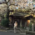 上野恩賜公園（上野公園）の写真_68271