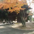 真間山弘法寺の写真_207651