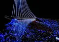 琴滝の写真_101085