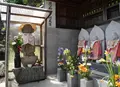 天龍寺の写真_26103