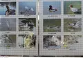 清澄庭園の写真_26764