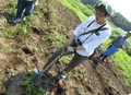 ろまんちっく村の写真_36251