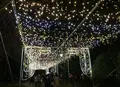 元渕江公園の写真_54121