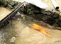 ゲストハウスioriの写真_55959