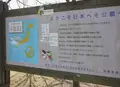 にしわき経緯度地球科学館 テラ・ドームの写真_64031