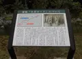 ラベンダーパーク多可の写真_96685