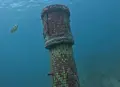 浮潛秘境の写真_1231685