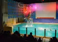 浅虫水族館の写真_126724