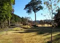 いきなり芝生公園に出たの写真_127978