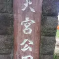 大宮公園の写真_132595
