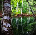 蔦七沼の写真_152443